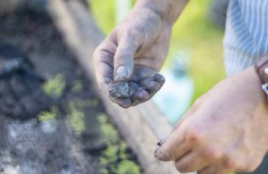 Close-up image of an object found during archaeological digs on Woodland’s grounds during the 2025 Julyteenth program.